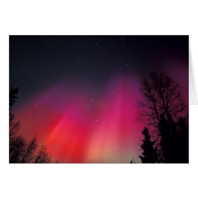 NA, USA, Alaska, Fairbanks, Curtains of roze and (Voorkant Horizontaal)