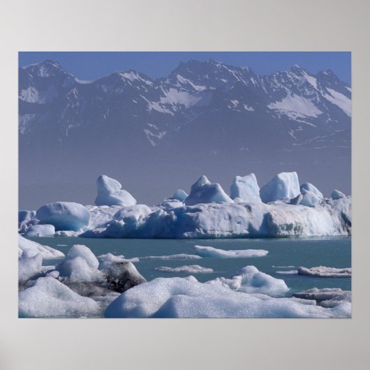 NA, USA, Alaska, St. Elias Range, Alsek River Poster (Voorkant)