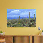 NA, USA, Arizona, Saguaro National Monument (Natio Canvas Afdruk (Insitu (Woonkamer))