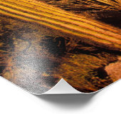 NA, USA, Arizona, Saguaro National Monument (Natio Foto Afdruk (Hoek)