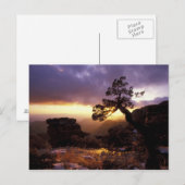 NA, USA, Arizona, Tucson, Sunset and Lone Briefkaart (Voorkant / Achterkant)