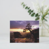 NA, USA, Arizona, Tucson, Sunset and Lone Briefkaart (Staand voorkant)