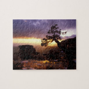 NA, USA, Arizona, Tucson, Sunset and Lone Legpuzzel