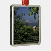 NA, USA, Oregon, near Hood River Mt. Hood with Metalen Ornament (Rechts)