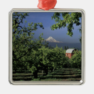 NA, USA, Oregon, near Hood River Mt. Hood with Metalen Ornament
