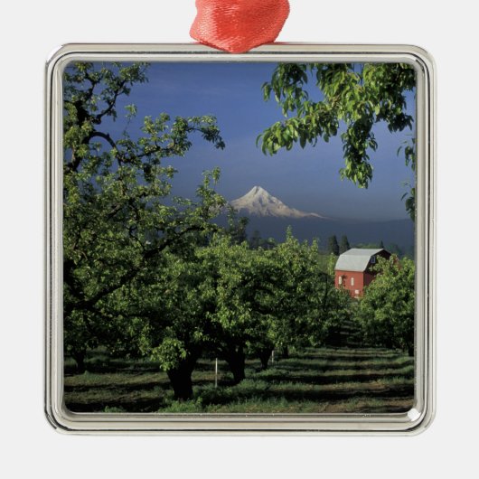 NA, USA, Oregon, near Hood River Mt. Hood with Metalen Ornament (Voorkant)