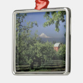 NA, USA, Oregon, near Hood River Mt. Hood with Metalen Ornament (Links)