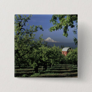 NA, USA, Oregon, near Hood River Mt. Hood with Vierkante Button 5,1 Cm