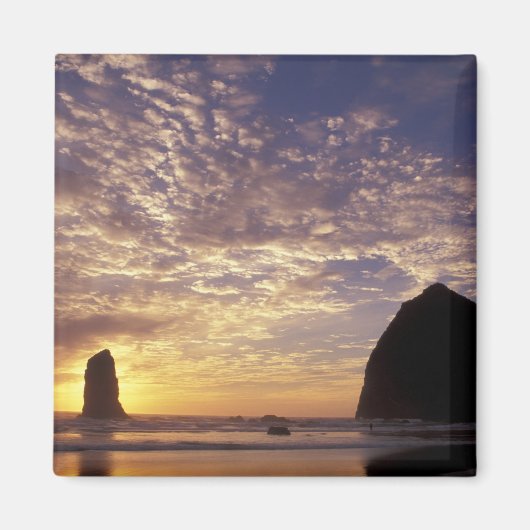 NA, USA, Oregon, Oregon Coast, Canon Beach with Magneet (Voorkant)