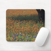 NA, USA, Texas, Hill Country, Paint Muismat (Met muis)