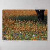 NA, USA, Texas, Hill Country, Paint Poster (Voorkant)