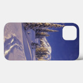 NA, USA, Washington, MT Rainier NP, Snowshoe Case-Mate iPhone Case (Achterkant (horizontaal))