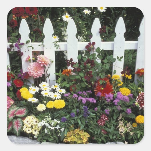 NA, USA, Washington, Sammamish, White picket Vierkante Sticker (Voorkant)