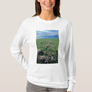 NA, VS, Alaska, Aleoeten eiland, Schilderachtig me T-shirt