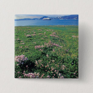 NA, VS, Alaska, Aleoeten-eiland, Schitterend met Vierkante Button 5,1 Cm