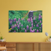 NA, VS, Alaska, Aleoeten, Unalaska, Canvas Afdruk (Insitu (Woonkamer))