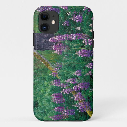 NA, VS, Alaska, Aleoeten, Unalaska, Case-Mate iPhone Case (Achterkant)