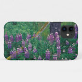 NA, VS, Alaska, Aleoeten, Unalaska, Case-Mate iPhone Case (Achterkant (horizontaal))