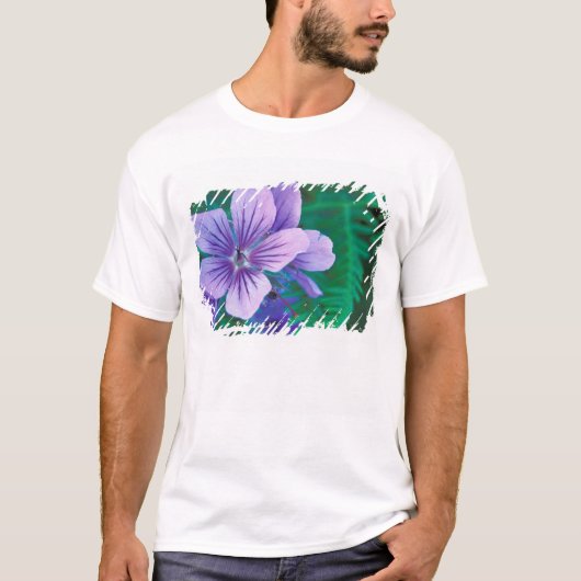 NA, VS, Alaska, Aleoeten, Wild T-shirt (Voorkant)