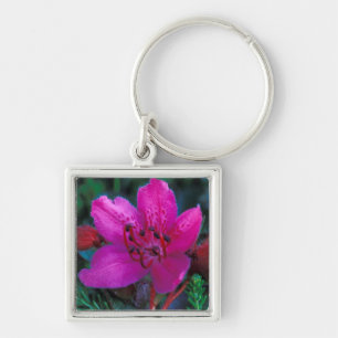NA, VS, Alaska, Aleoeten, Wilde bloemen Sleutelhanger