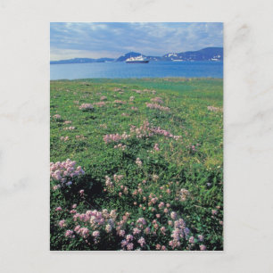 NA, VS, Alaska, Aleutian-eiland, Schitterend met Briefkaart
