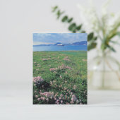 NA, VS, Alaska, Aleutian Island, Schilderachtig me Briefkaart (Staand voorkant)