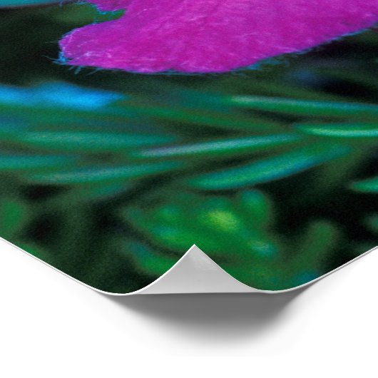 NA, VS, Alaska, Aleutian Islands, Wilde bloemen Poster (Hoek)