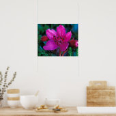 NA, VS, Alaska, Aleutian Islands, Wilde bloemen Poster (Keuken)