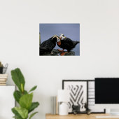 NA, VS, Alaska, Bering Zee, Pribilofs. gebogen Poster (Thuiskantoor)