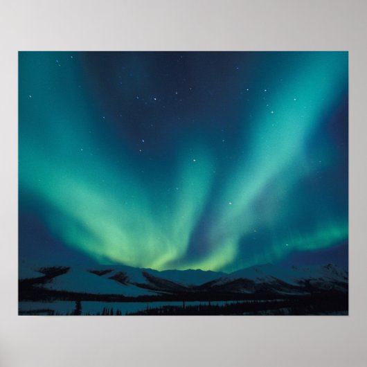 NA, VS, Alaska, Brooks Range, Gordijnen van groen Poster (Voorkant)