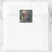 NA, VS, Alaska, captive porcupine Vierkante Sticker (Tas)