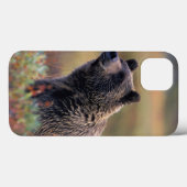 NA, VS, Alaska, Denali NP, Grizzly beer Case-Mate iPhone Case (Achterkant (horizontaal))