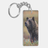 NA, VS, Alaska, Denali NP, Grizzly beer Sleutelhanger (Voorkant Links)