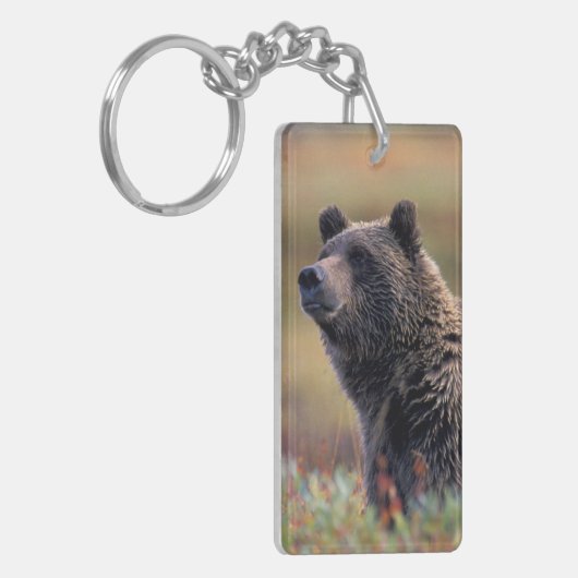 NA, VS, Alaska, Denali NP, Grizzly beer Sleutelhanger (Voorkant Links)