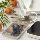 NA, VS, Alaska, Denali NP, Grizzly beer Sleutelhanger (Voorkant Rechts)