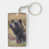 NA, VS, Alaska, Denali NP, Grizzly beer Sleutelhanger (achterkant)