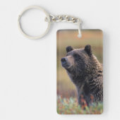 NA, VS, Alaska, Denali NP, Grizzly beer Sleutelhanger (Voorkant)