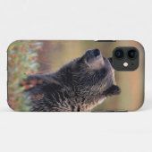 NA, VS, Alaska, Denali NP, Grizzlybeer Case-Mate iPhone Case (Achterkant (horizontaal))