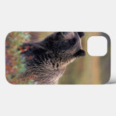 NA, VS, Alaska, Denali NP, Grizzlybeer Case-Mate iPhone Case (Achterkant (horizontaal))