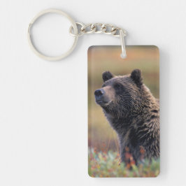 NA, VS, Alaska, Denali NP, Grizzlybeer Sleutelhanger