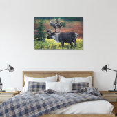 NA, VS, Alaska, Denali NP, Stier kariboe 3 Canvas Afdruk (Insitu (Slaapkamer))