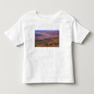 NA, VS, Alaska, Denali NP, Uitzicht op McKinley Kinder Shirts