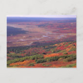 NA, VS, Alaska, Denali NP, Uitzicht van McKinley Briefkaart (Voorkant)