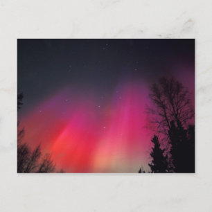 NA, VS, Alaska, Fairbanks, Gordijnen van roze en Briefkaart