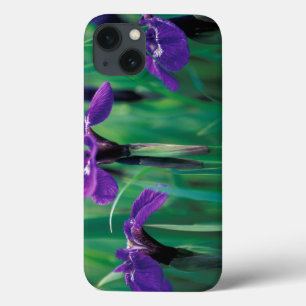 NA, VS, Alaska, Knight Island, Wilde iris Case-Mate iPhone Case