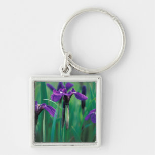 NA, VS, Alaska, Knight Island, Wilde iris Sleutelhanger