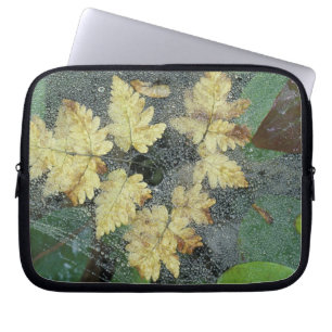 NA, VS, Alaska, Nancy Lake. Dauw op spinnenweb Laptop Sleeve