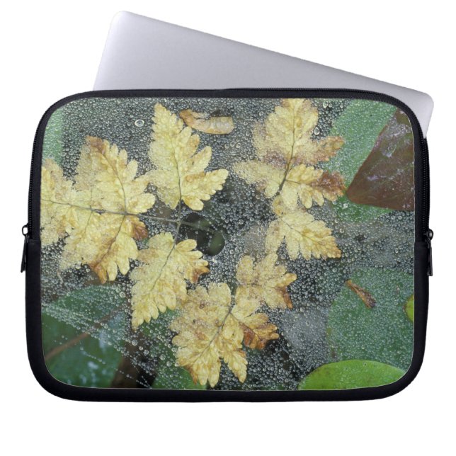 NA, VS, Alaska, Nancy Lake. Duw op spderweb Laptop Sleeve (Voorkant)