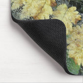 NA, VS, Alaska, Nancy Lake. Duw op spderweb Muismat (Hoek)