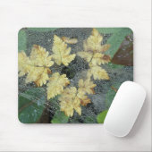 NA, VS, Alaska, Nancy Lake. Duw op spderweb Muismat (Met muis)